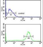 CHPF Antibody in Flow Cytometry (Flow)