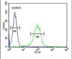 CHST2 Antibody in Flow Cytometry (Flow)