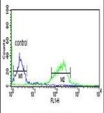 CI091 Antibody in Flow Cytometry (Flow)