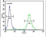 LURAP1L Antibody in Flow Cytometry (Flow)