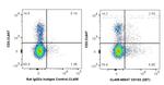 CD103 Antibody in Flow Cytometry (Flow)