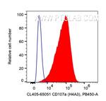 CD107a/LAMP1 Antibody in Flow Cytometry (Flow)