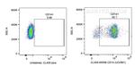 CD14 Antibody in Flow Cytometry (Flow)