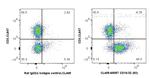 CD16/32 Antibody in Flow Cytometry (Flow)