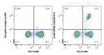 CD8a Antibody in Flow Cytometry (Flow)