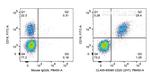 CD20 Antibody in Flow Cytometry (Flow)