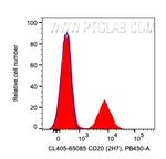 CD20 Antibody in Flow Cytometry (Flow)