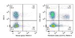 CD16 Antibody in Flow Cytometry (Flow)
