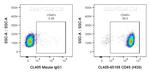 CD45 Antibody in Flow Cytometry (Flow)
