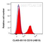 CD19 Antibody in Flow Cytometry (Flow)