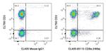 CD8a Antibody in Flow Cytometry (Flow)