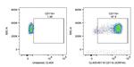 CD11b Antibody in Flow Cytometry (Flow)