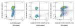 PD-1/CD279 Antibody in Flow Cytometry (Flow)