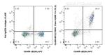 MHC Class II (I-A/I-E) Antibody in Flow Cytometry (Flow)
