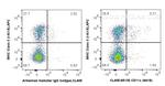 CD11c Antibody in Flow Cytometry (Flow)