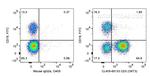 CD3 Antibody in Flow Cytometry (Flow)