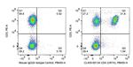 CD4 Antibody in Flow Cytometry (Flow)