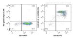 Ly-6G/Ly-6C (Gr-1) Antibody in Flow Cytometry (Flow)