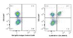 CD4 Antibody in Flow Cytometry (Flow)