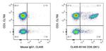 CD8 Antibody in Flow Cytometry (Flow)