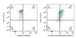 CD86 Antibody in Flow Cytometry (Flow)