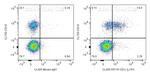 CD1c Antibody in Flow Cytometry (Flow)