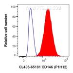 CD146 Antibody in Flow Cytometry (Flow)