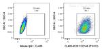 CD146 Antibody in Flow Cytometry (Flow)