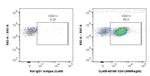 CD41 Antibody in Flow Cytometry (Flow)