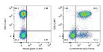 CD2 Antibody in Flow Cytometry (Flow)