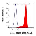 CD58 Antibody in Flow Cytometry (Flow)