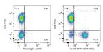 CD19 Antibody in Flow Cytometry (Flow)