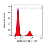 CD19 Antibody in Flow Cytometry (Flow)