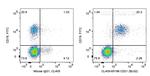 CD21 Antibody in Flow Cytometry (Flow)