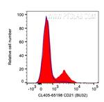 CD21 Antibody in Flow Cytometry (Flow)