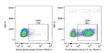CD5 Antibody in Flow Cytometry (Flow)