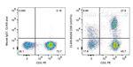 CD8 Antibody in Flow Cytometry (Flow)