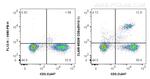 CD8a Antibody in Flow Cytometry (Flow)