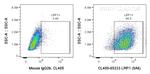 LRP1 Antibody in Flow Cytometry (Flow)