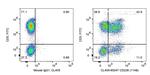 CD226 Antibody in Flow Cytometry (Flow)