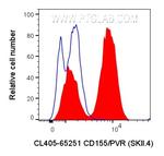 CD155/PVR Antibody in Flow Cytometry (Flow)