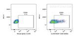 CD26 Antibody in Flow Cytometry (Flow)