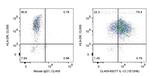 IL-12 Antibody in Flow Cytometry (Flow)
