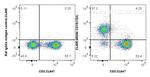 CD19 Antibody in Flow Cytometry (Flow)