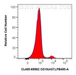 CD19 Antibody in Flow Cytometry (Flow)