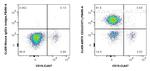CD3 Antibody in Flow Cytometry (Flow)