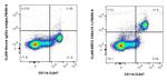 CD64 Antibody in Flow Cytometry (Flow)