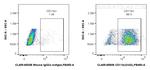 CD11b Antibody in Flow Cytometry (Flow)