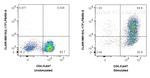 IL-17F Antibody in Flow Cytometry (Flow)