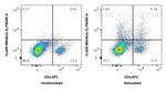IL-2 Antibody in Flow Cytometry (Flow)